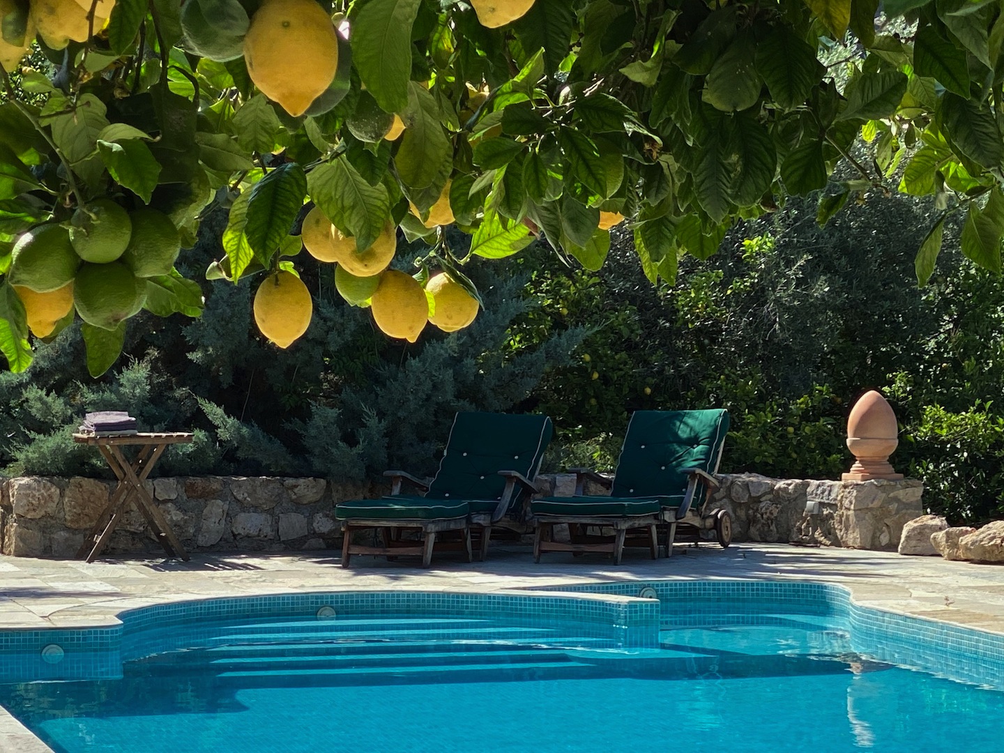 Swimming under lemons