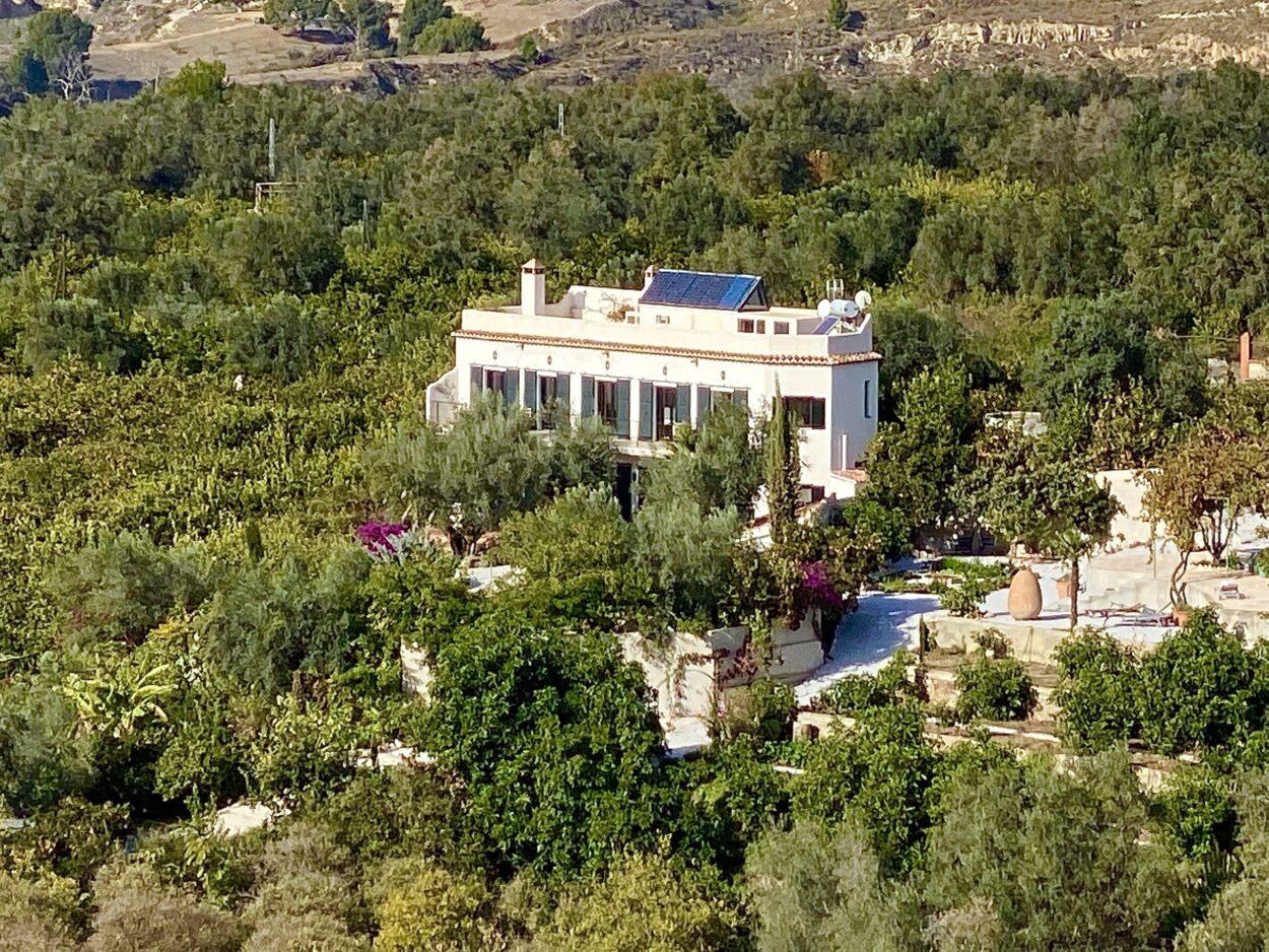 Garden of Lemons